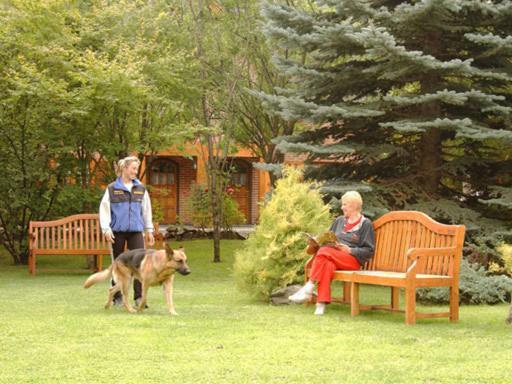 Apart Hotel La Bora San Martin de los Andes Exterior photo